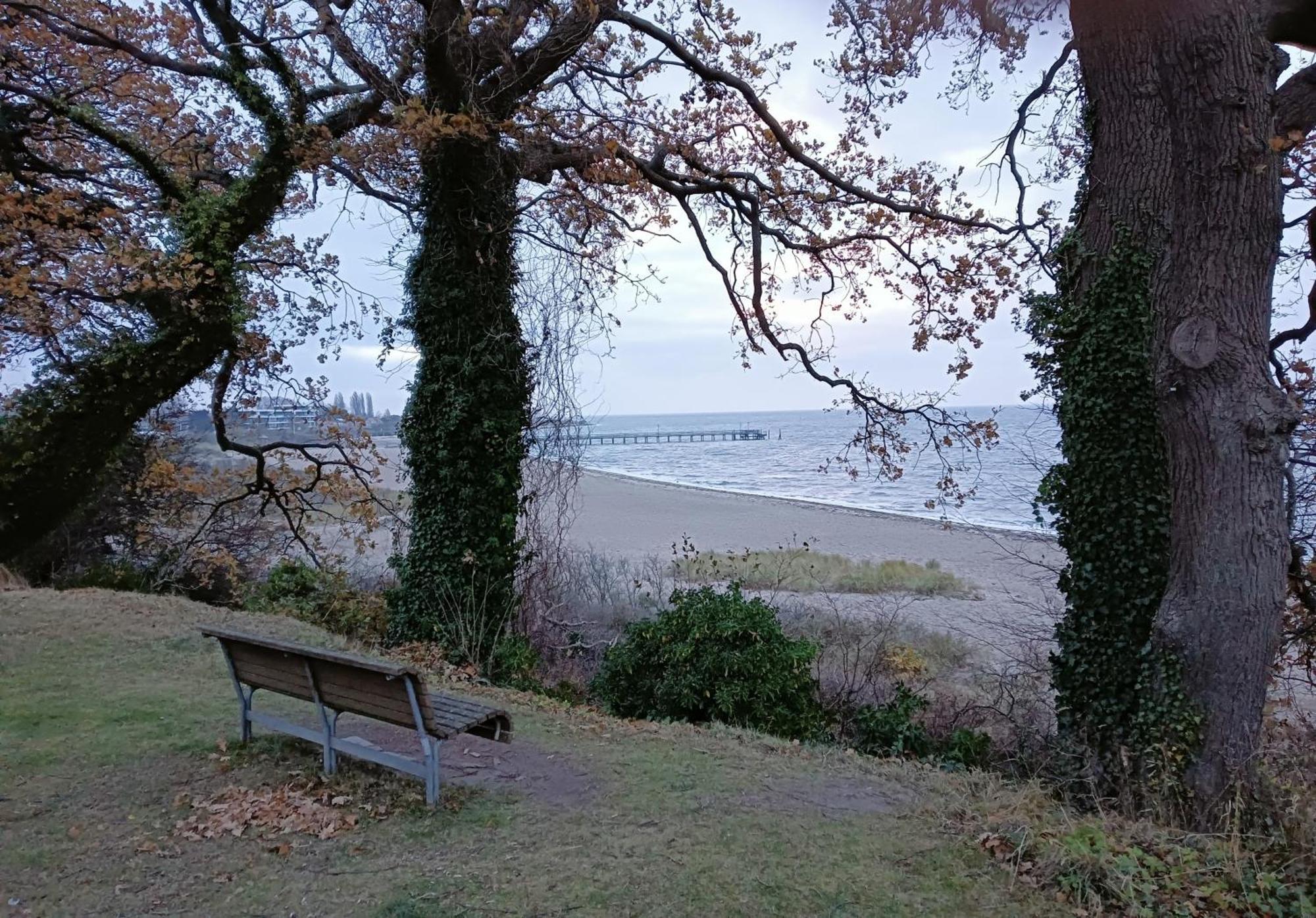 Fewo Muschelgetuschel Im Prinz Hamlet - Direkte Strandlage Pelzerhaken Kültér fotó